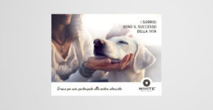 progettazione pubblicità White studi dentistici