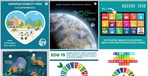 gestione canale social di Undernature