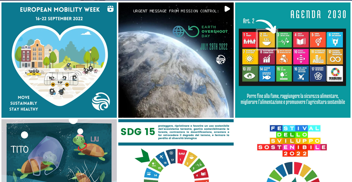 gestione canale social di Undernature